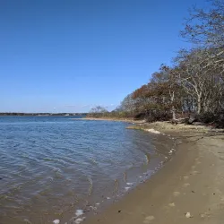 Felix Neck Wildlife Sanctuary - Martha's Vineyard