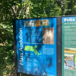 Felix Neck Wildlife Sanctuary - Martha's Vineyard