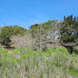 Felix Neck Wildlife Sanctuary - Martha's Vineyard