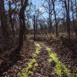 Felix Neck Wildlife Sanctuary - Martha's Vineyard