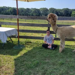 Island Alpaca Company - Martha's Vineyard