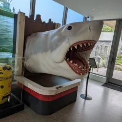 Martha's Vineyard Museum - Martha's Vineyard