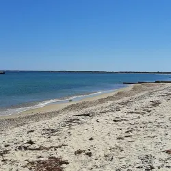 State Beach - Martha's Vineyard