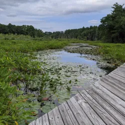 Broadmoor Wildlife Sanctuary - Natick
