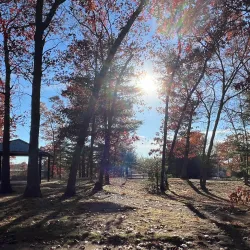Speen Street Playground - Natick