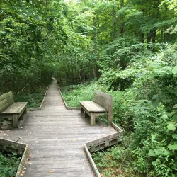 Broadmeadow Brook Trail - Needham