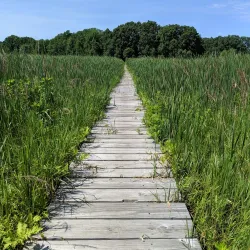 Clarke Middle School Nature Trail - Needham