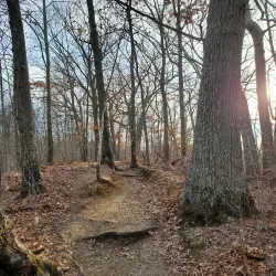 Clarke Middle School Nature Trail - Needham
