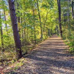 Clarke Middle School Nature Trail - Needham