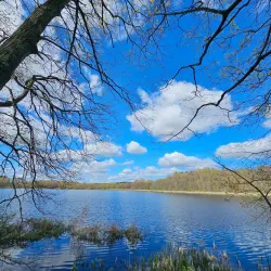 Clarke Middle School Nature Trail - Needham