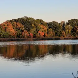 Clarke Middle School Nature Trail - Needham