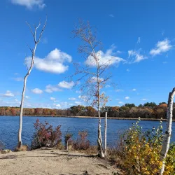Cutler Park Reservation - Needham