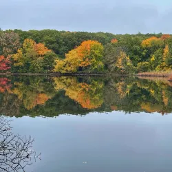 Cutler Park Reservation - Needham