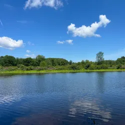 Cutler Park Reservation - Needham