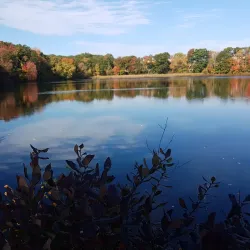 Cutler Park Reservation - Needham
