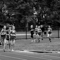 DeFazio Park - Needham