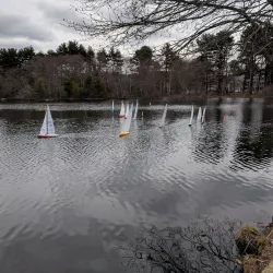 DeFazio Park - Needham