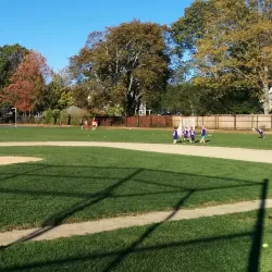 Greene's Field - Needham