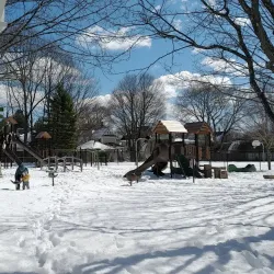 Greene's Field - Needham