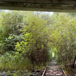 High Rock Reservation - Needham