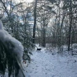 High Rock Reservation - Needham