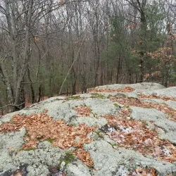 High Rock Reservation - Needham