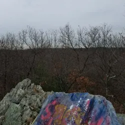 High Rock Reservation - Needham