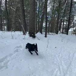 High Rock Reservation - Needham