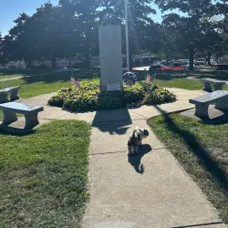 Needham Skate Park - Needham
