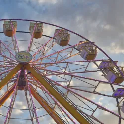 Needham Skate Park - Needham