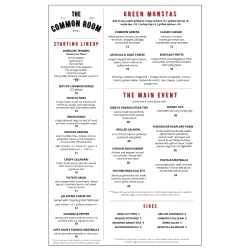 Needham Town Common - Needham