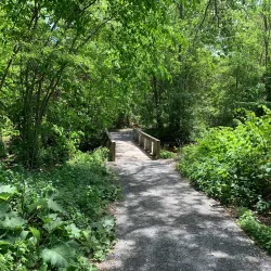 Cold Spring Park - Newton