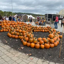 Cider Hill Farm - North Andover