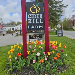 Cider Hill Farm - North Andover