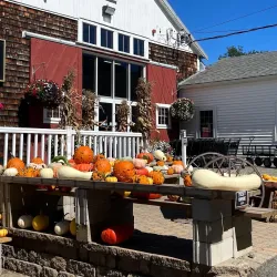 Cider Hill Farm - North Andover