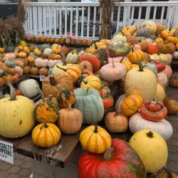 Cider Hill Farm - North Andover