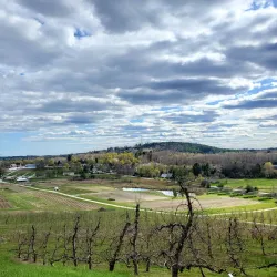 Cider Hill Farm - North Andover