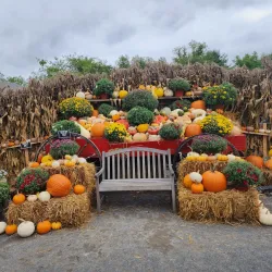 Cider Hill Farm - North Andover