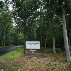 Harold Parker State Forest - North Andover
