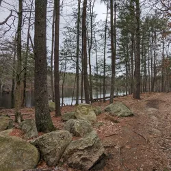 Harold Parker State Forest - North Andover
