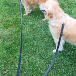 North Andover Town Common - North Andover