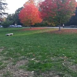 North Andover Town Common - North Andover