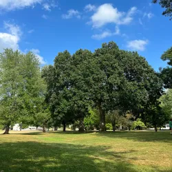 North Andover Town Common - North Andover