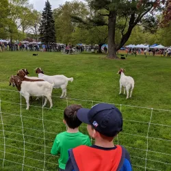 North Andover Town Common - North Andover