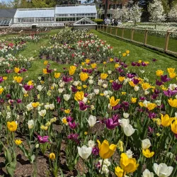 North Andover Town Common - North Andover