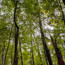 Osgood Hill Reservation - North Andover