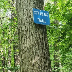 Osgood Hill Reservation - North Andover