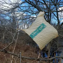 Shawsheen River Trail - North Andover