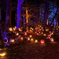 The Stevens-Coolidge Place - North Andover