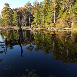 Ward Reservation - North Andover
